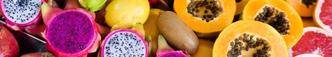 10060_Produce-Colorful_ai_293990740-PANO_1920x330.jpg