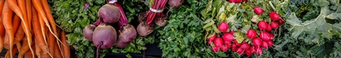 12894_074-GM-Opening-Day_Scott-Wiseman_10.07.23_Pano_Vegetables_1920x333.jpg