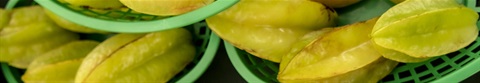 12906_GM-20_DSC-2179_Kellan_Pano_StarFruits_1920x333.jpg