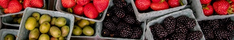 12914_GM-20_DSC-2335_Kellan_Pano_Berries_1920x333.jpg